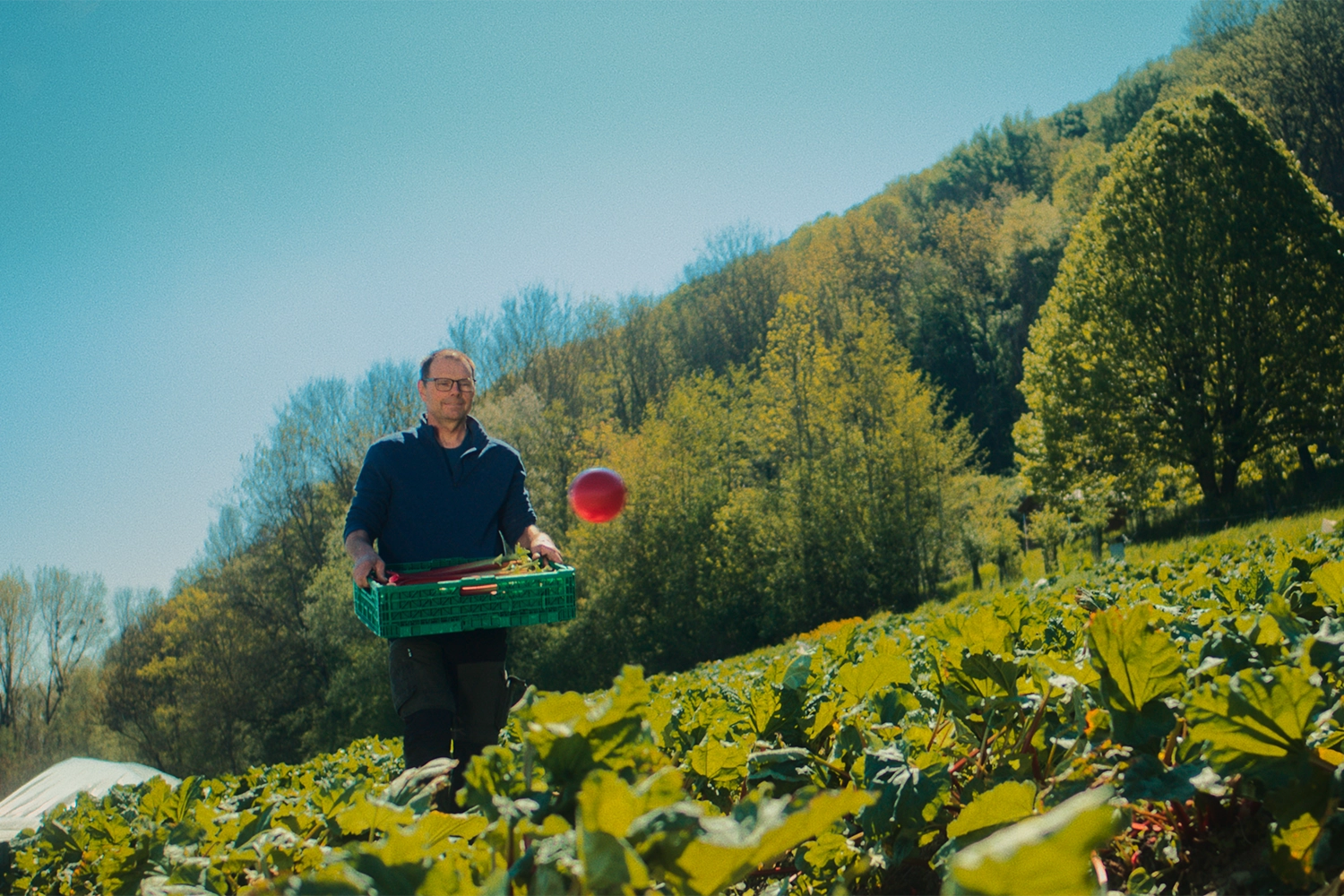 Image d'un monsieur marchant dans un champs avec une caisse de légumes dans les mains, un rond rouge flotte dans les airs
